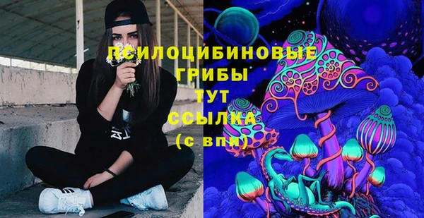 mdpv Ладушкин
