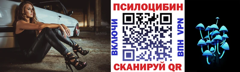Купить где  Белорецк  Галлюциногенные грибы MAGIC MUSHROOMS 